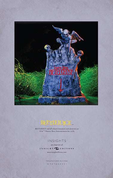 Beetlejuice: Handbook for the Recently Deceased Hardcover Ruled Journal inside page 2
