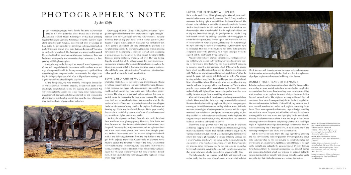 Wild Elephants inside page 4