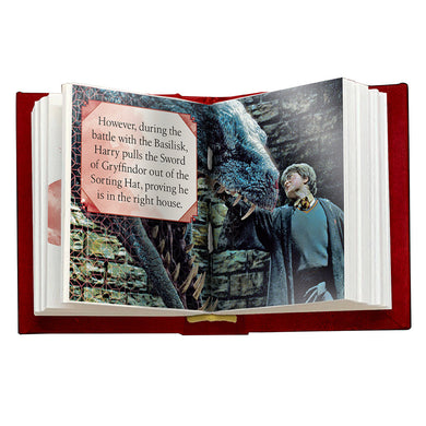 Harry Potter: Gryffindor inside page 3