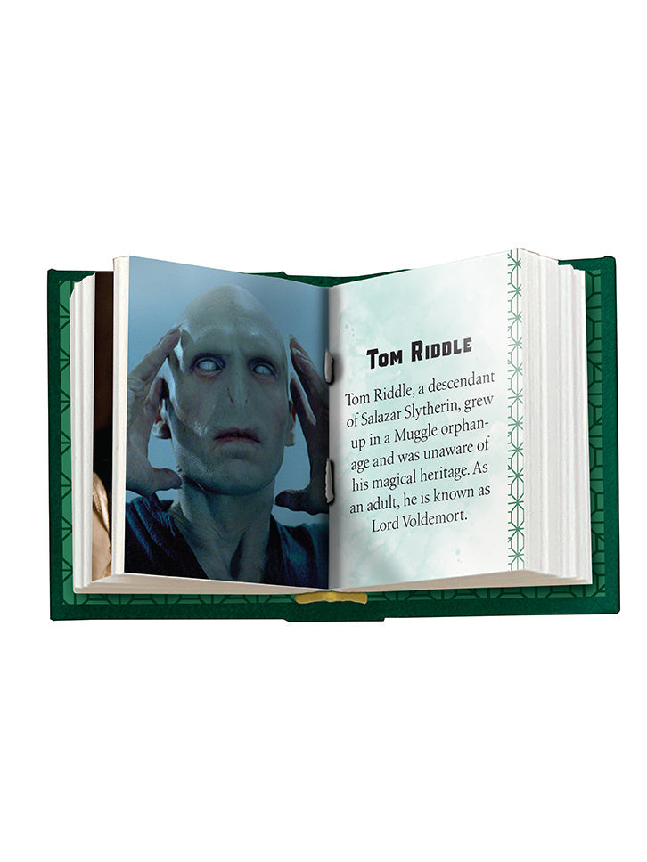 Harry Potter: Slytherin inside page 3