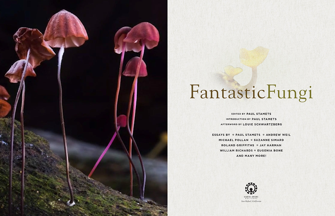 Fantastic Fungi inside page 1