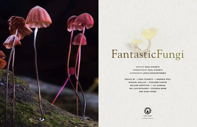 Fantastic Fungi inside page 1