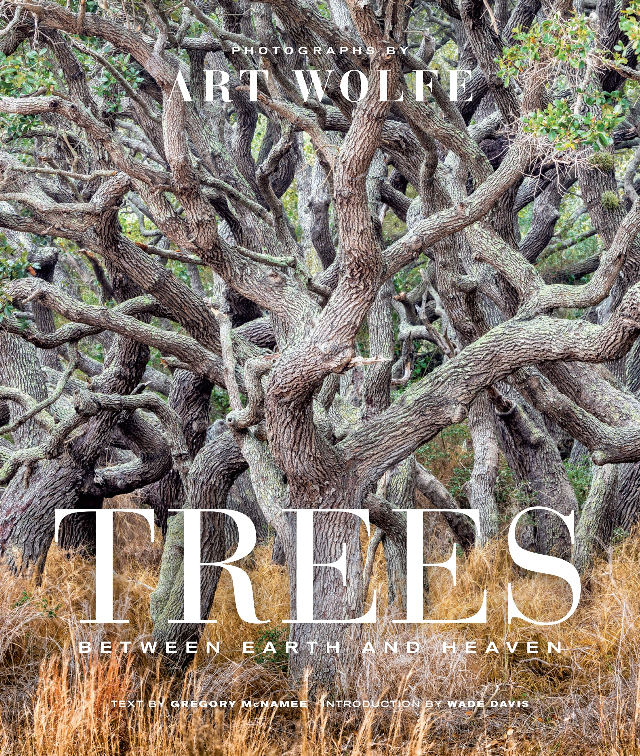 Trees