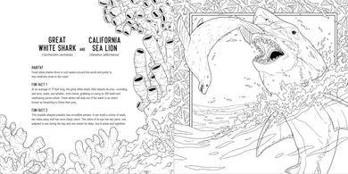 Predators: A Smithsonian Coloring Book US - Paperback / softback
