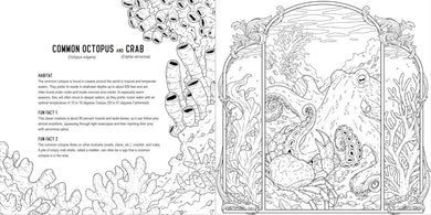 Predators: A Smithsonian Coloring Book US - Paperback / softback