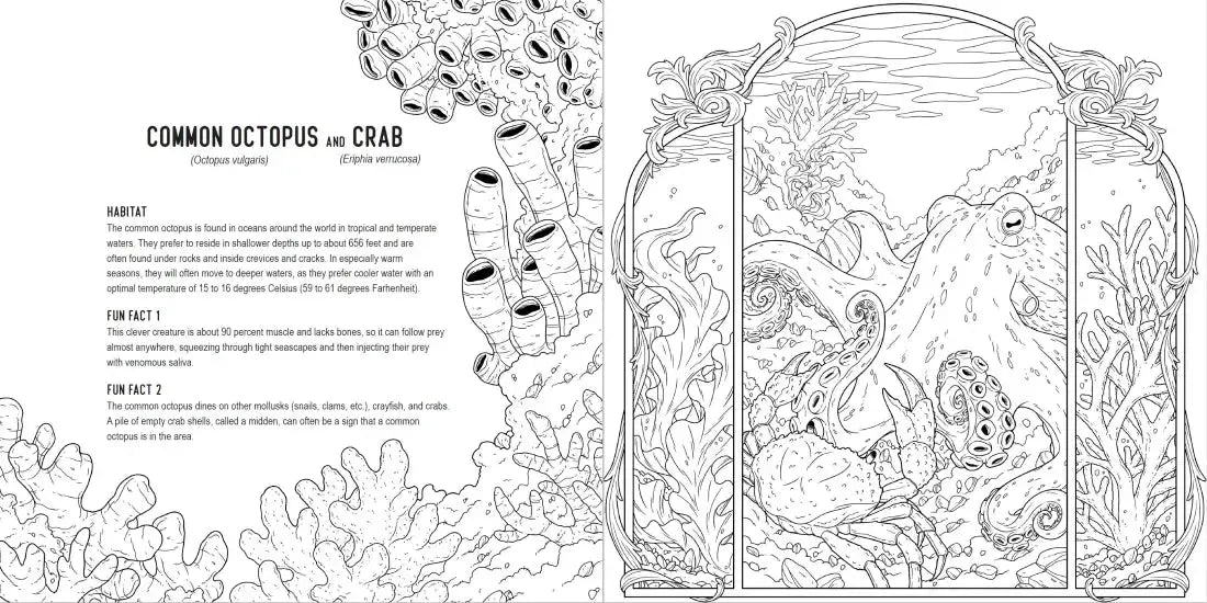 Predators: A Smithsonian Coloring Book US - Paperback / softback
