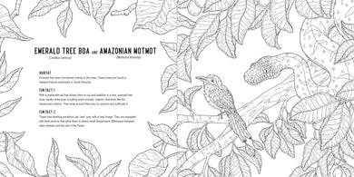 Predators: A Smithsonian Coloring Book US - Paperback / softback