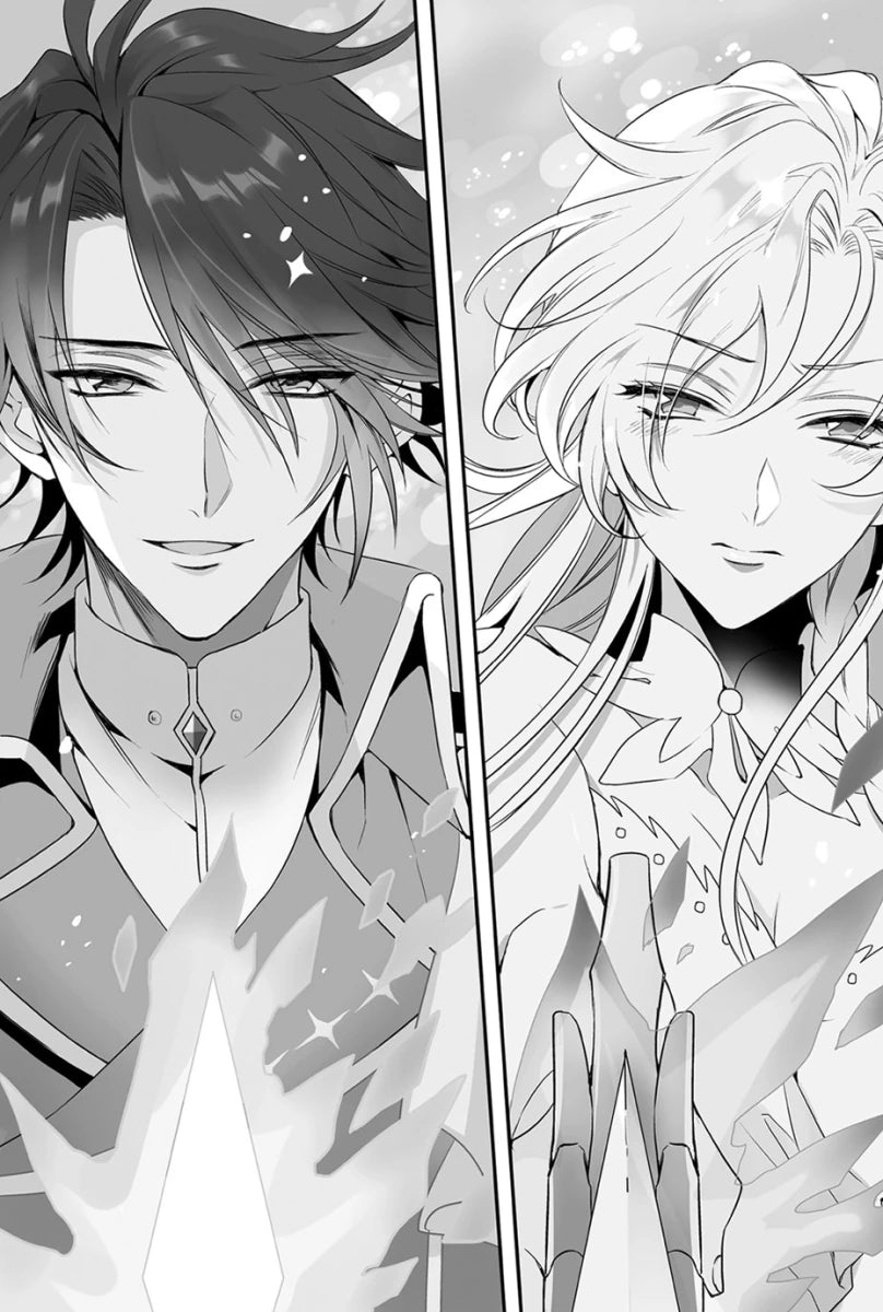 The Evil Queen's Beautiful Principles (Light Novel) Vol. 1 US - Paperback / softback