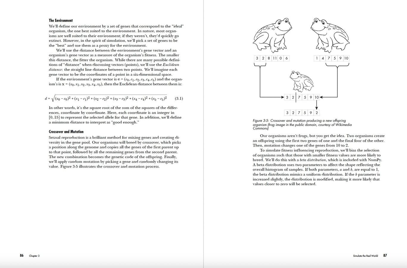The Art of Randomness US - Paperback / softback