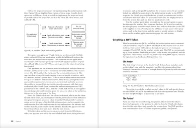The Complete Developer US - Paperback / softback
