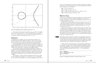 Serious Cryptography, 2nd Edition US - Paperback / softback