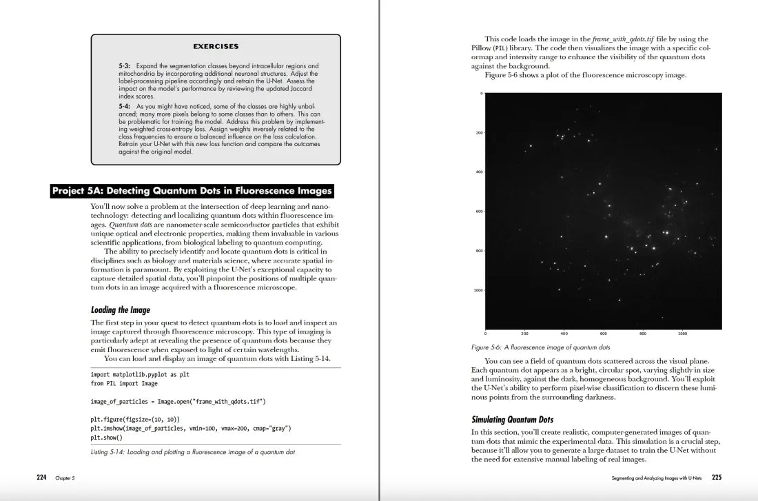 Deep Learning Crash Course US - Paperback / softback