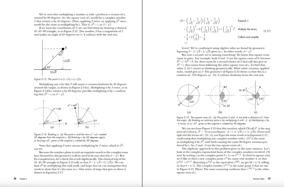 Quantum Computing US - Paperback / softback