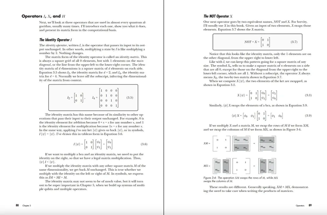 Quantum Computing US - Paperback / softback