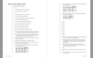 Automate the Boring Stuff with Python Workbook US - Paperback / softback