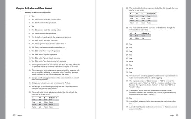 Automate the Boring Stuff Workbook US - Paperback / softback