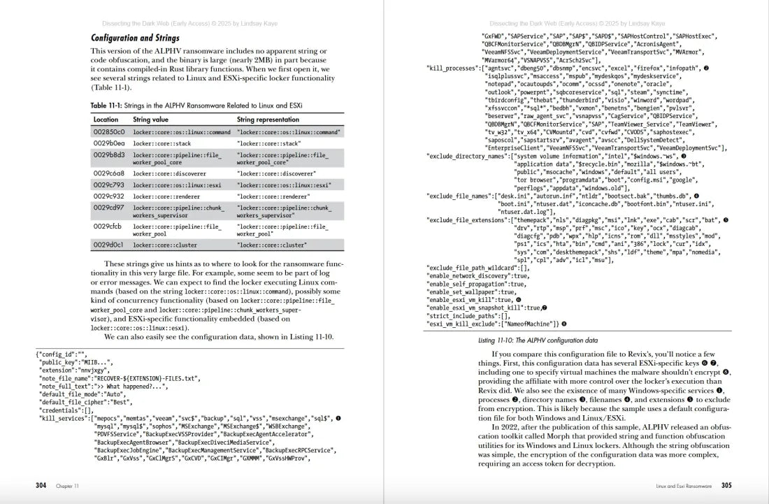 Dissecting the Dark Web US - Paperback / softback