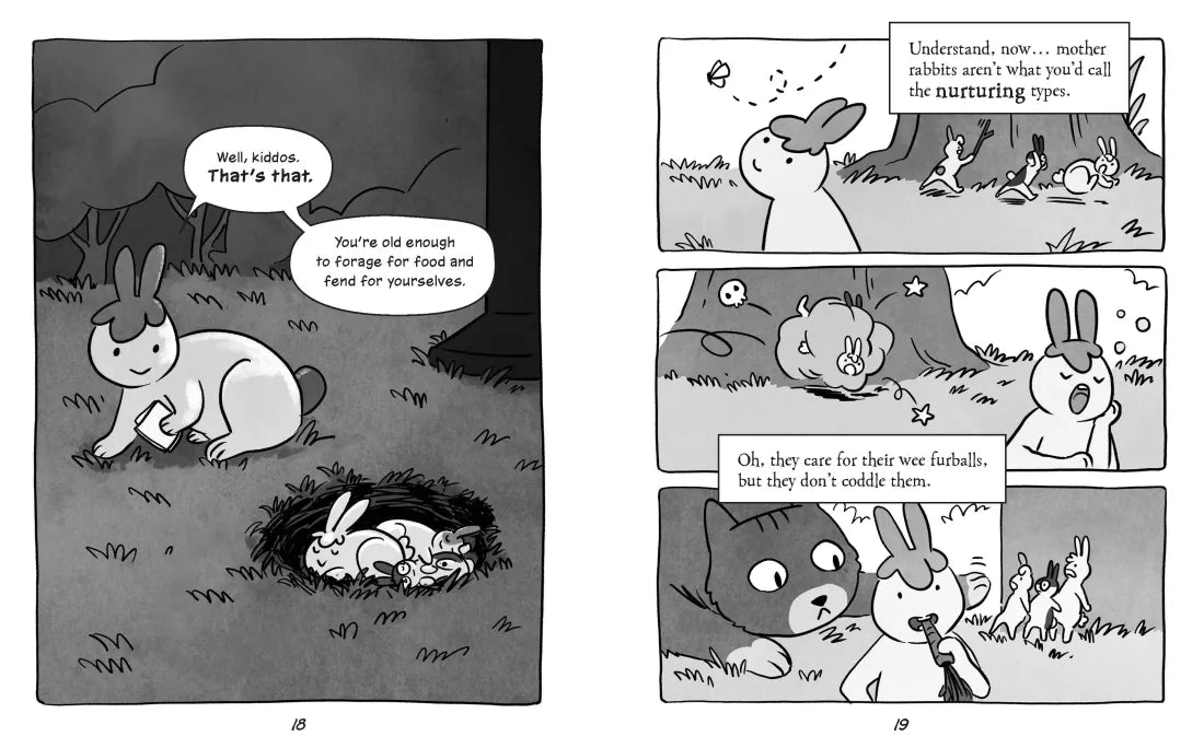 Buns Gone Bad (Fluffle Bunnies, Book #1) CA - Hardback