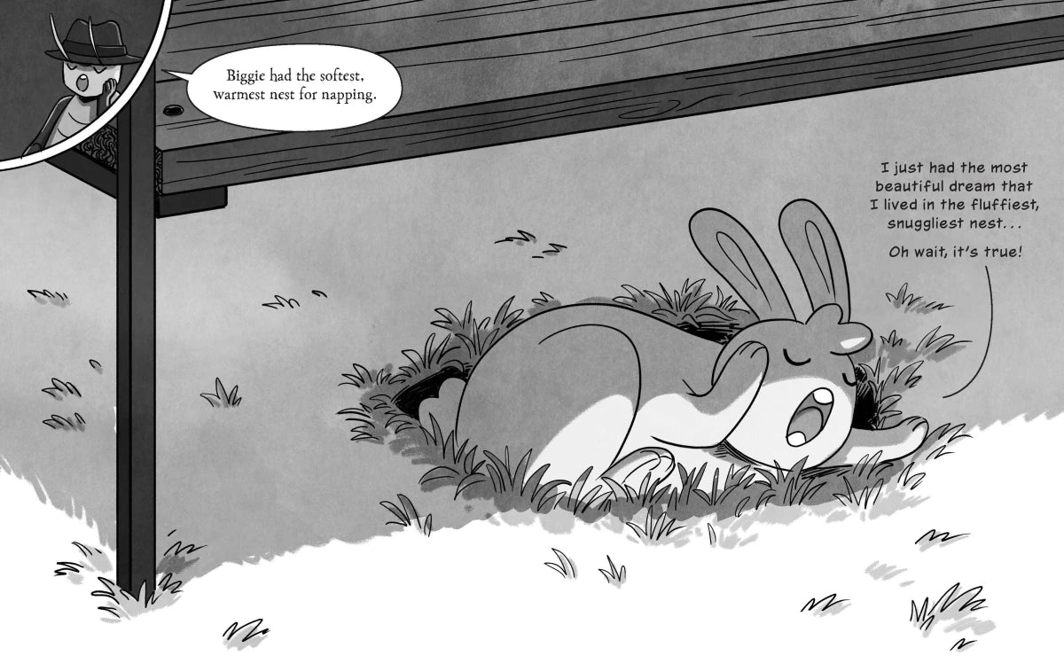 Big City Buns (Fluffle Bunnies, Book #2) CA - Paperback / softback