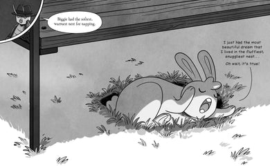 Big City Buns (Fluffle Bunnies, Book