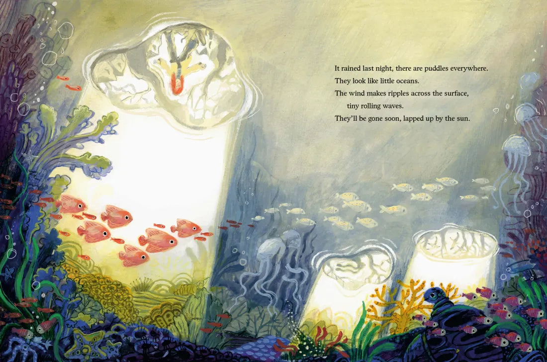 Head Full of Clouds CA - Hardback