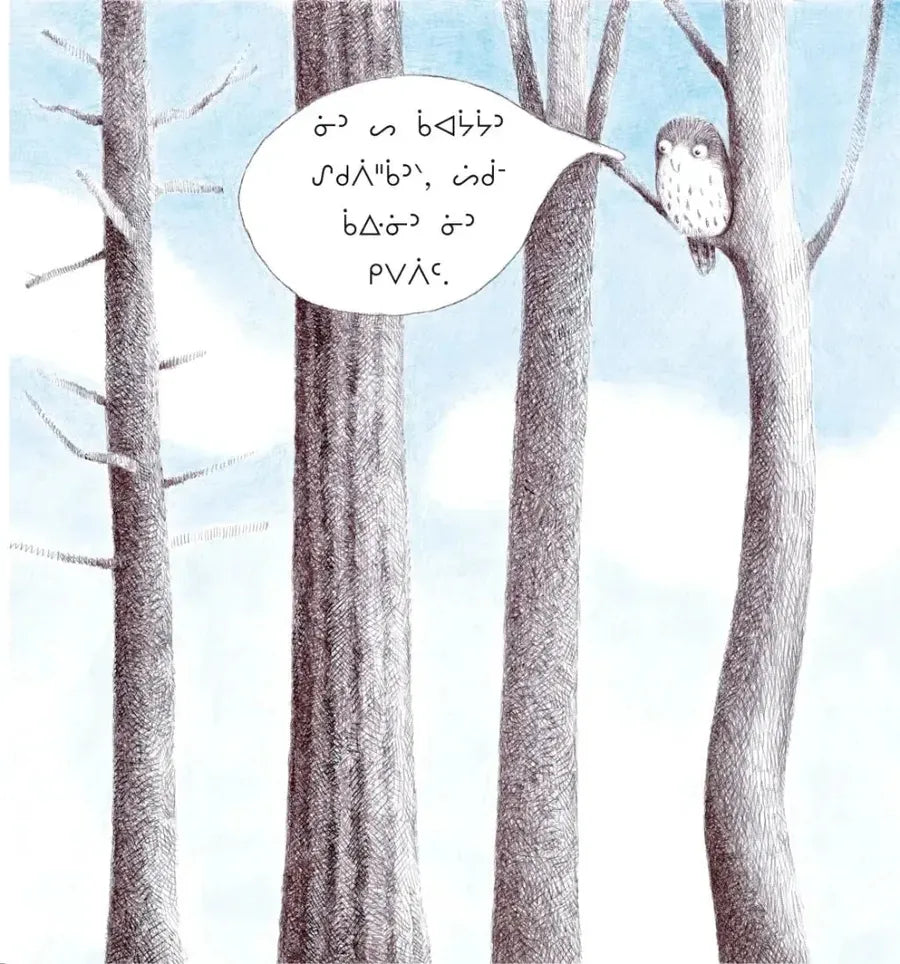 Where's Baby? (Oji-Cree edition) CA - Paperback / softback