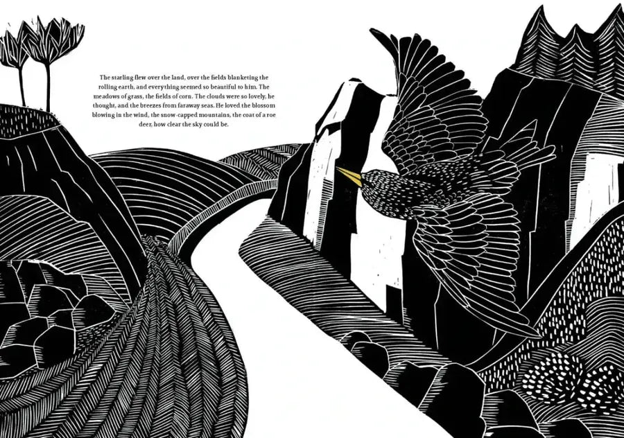 The Starling’s Song US - Hardback