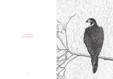 Within My Branches US - Hardback