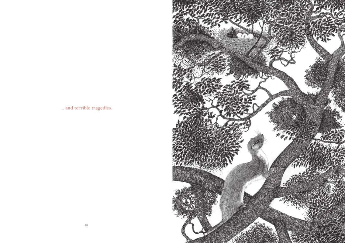Within My Branches US - Hardback