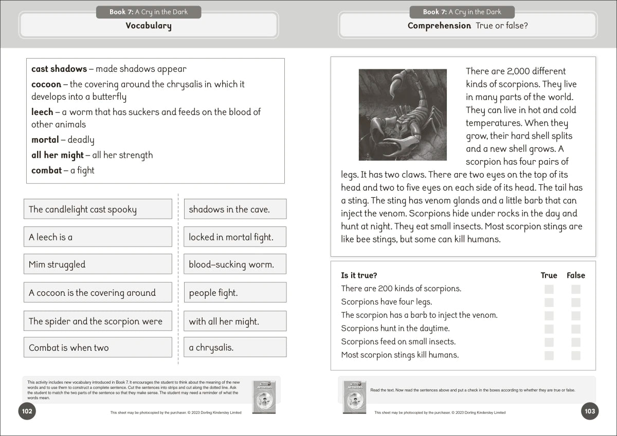 Phonic Books Talisman 1 Activities US - Paperback / softback