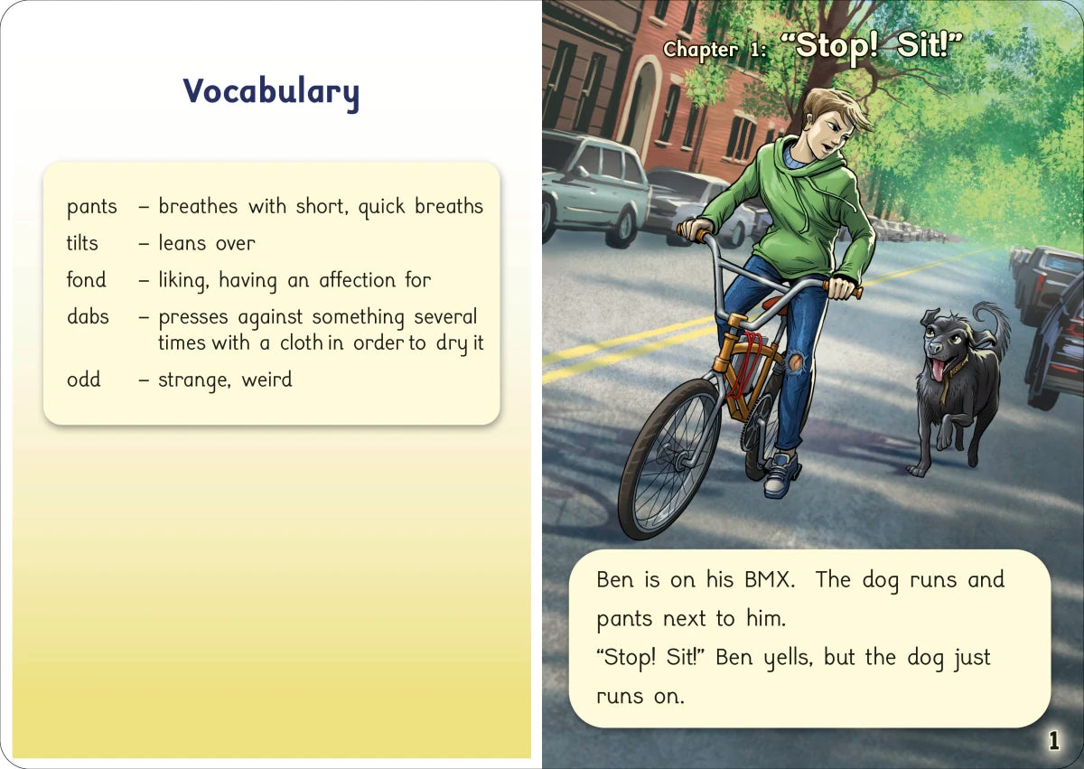 Phonic Books That Dog! US - Multiple-component retail product, boxed