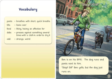 Phonic Books That Dog! US - Multiple-component retail product, boxed