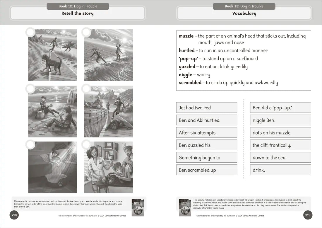 Phonic Books That Dog! Activities US - Paperback / softback