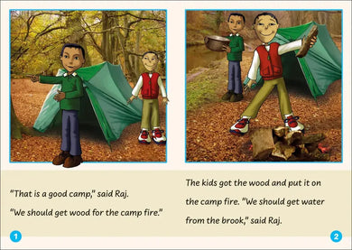 Phonic Books Dandelion Readers Vowel Spellings Level 2 Viv Wails US - Multiple-component retail product, boxed