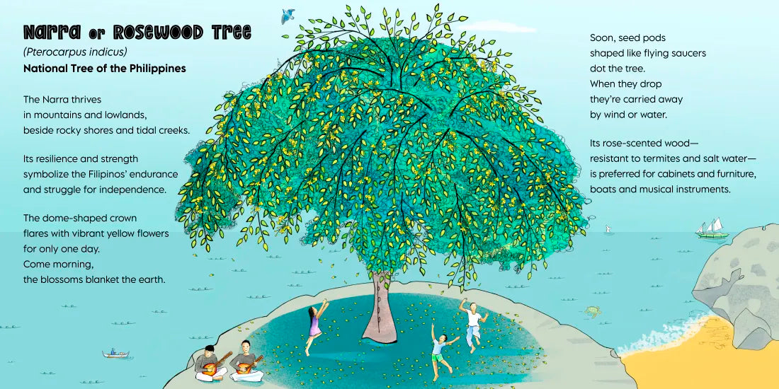 Rooted in Wonder US - Hardback