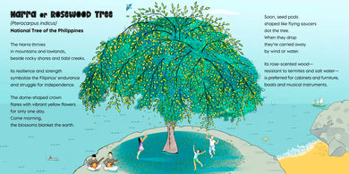 Rooted in Wonder US - Hardback