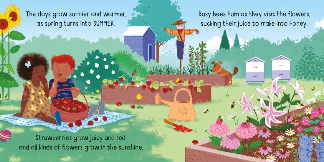 Little Board Books The Seasons GB - Board book