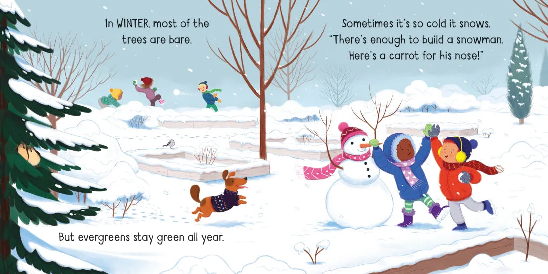 Little Board Books The Seasons GB - Board book