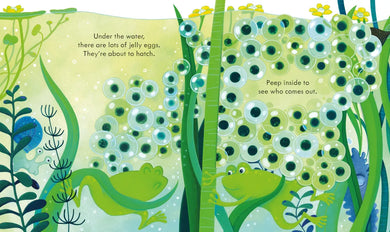 Peep Inside the Pond GB - Board book