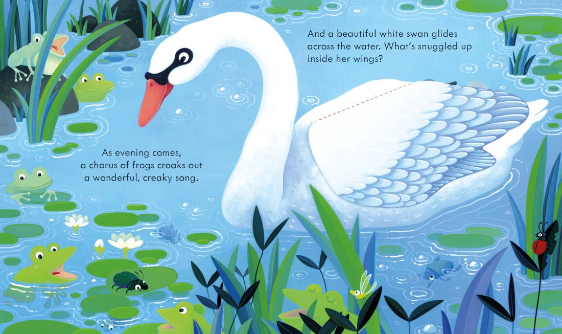 Peep Inside the Pond GB - Board book