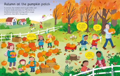 First Sticker Book Weather and Seasons GB - Paperback / softback