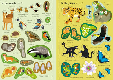 Little First Stickers Nature GB - Paperback / softback