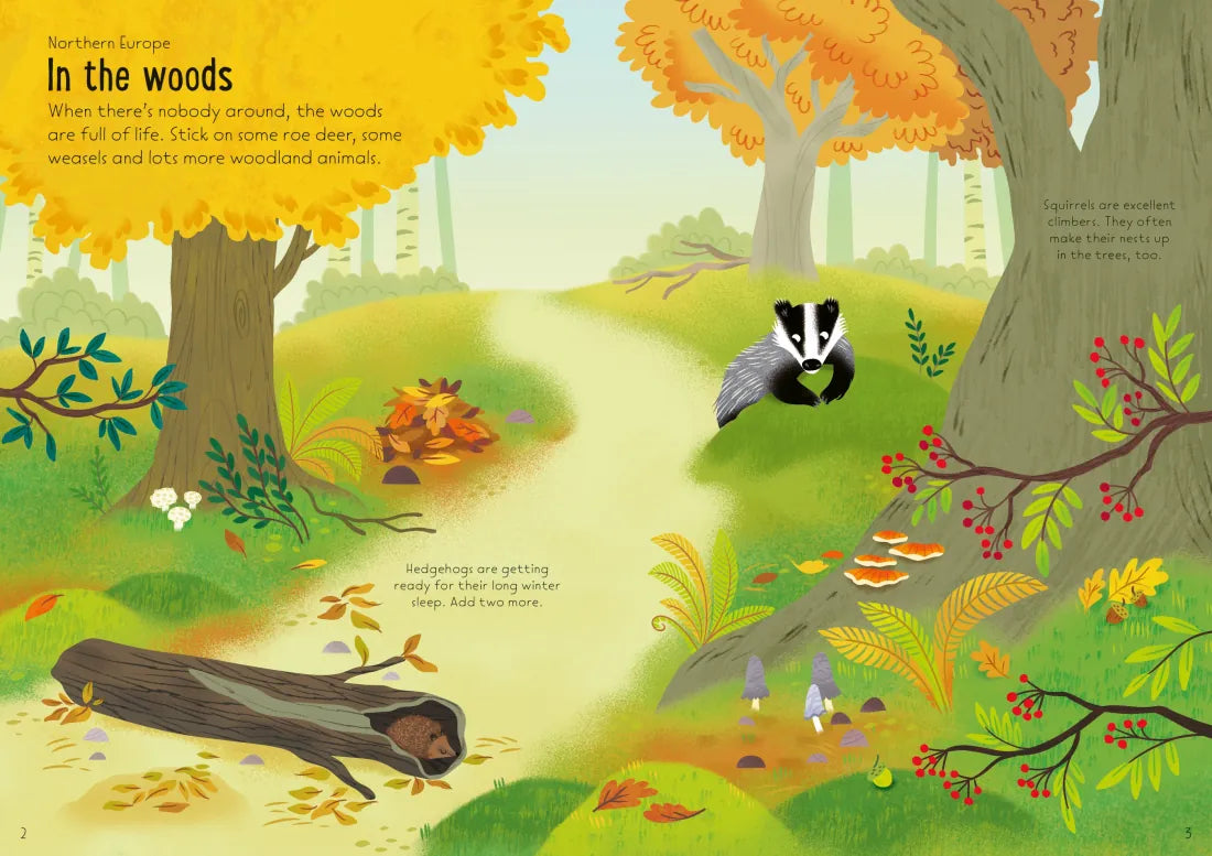 Little First Stickers Nature GB - Paperback / softback