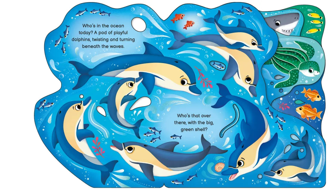Who's in the Ocean Today? GB - Board book