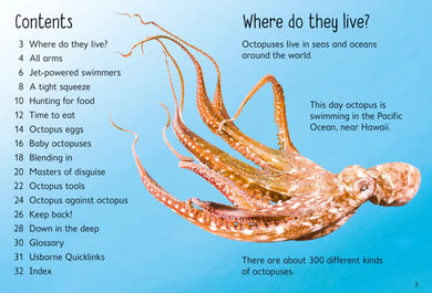 Beginners Octopuses GB - Hardback