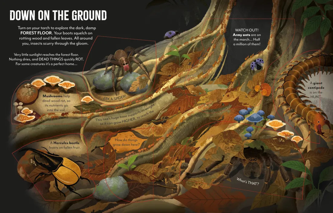 Extreme Planet: Journey through the Amazon GB - Board book