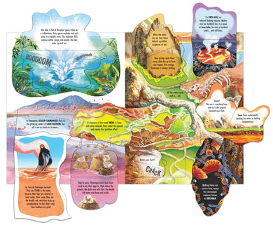 See Inside Wild Places GB - Board book