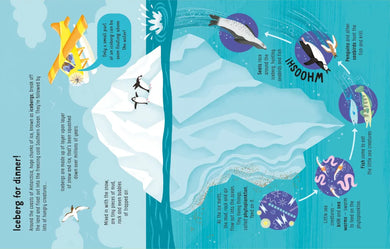 Lots of Things to Know About Seas and Oceans GB - Hardback