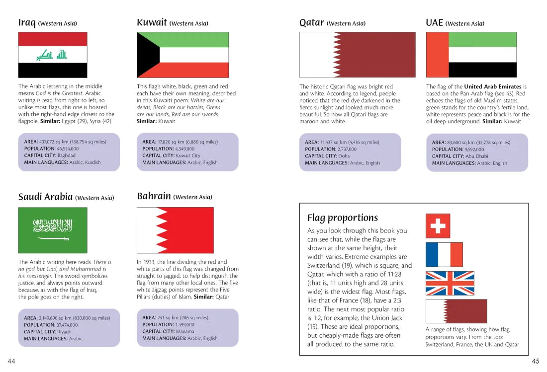 Spotter's Guides: Flags of the World GB - Paperback / softback