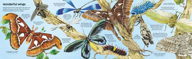 Big Book of Big Bugs GB - Hardback